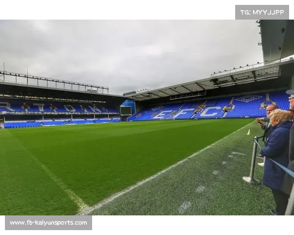 暴风雪后德甲球场草皮维护成难题，多俱乐部启用加热系统